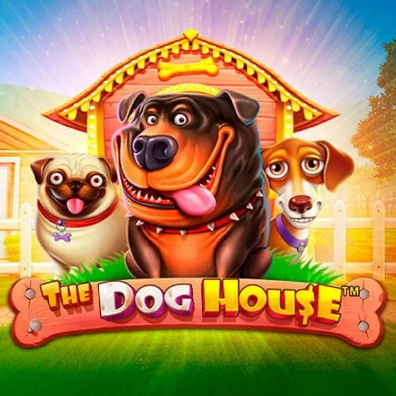 The Dog House slot at Pitbet Casino